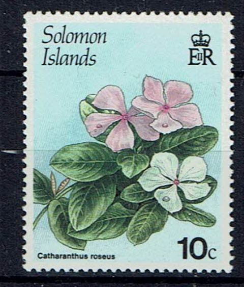 Image of British Solomon Islands/Solomon islands SG 582w UMM British Commonwealth Stamp